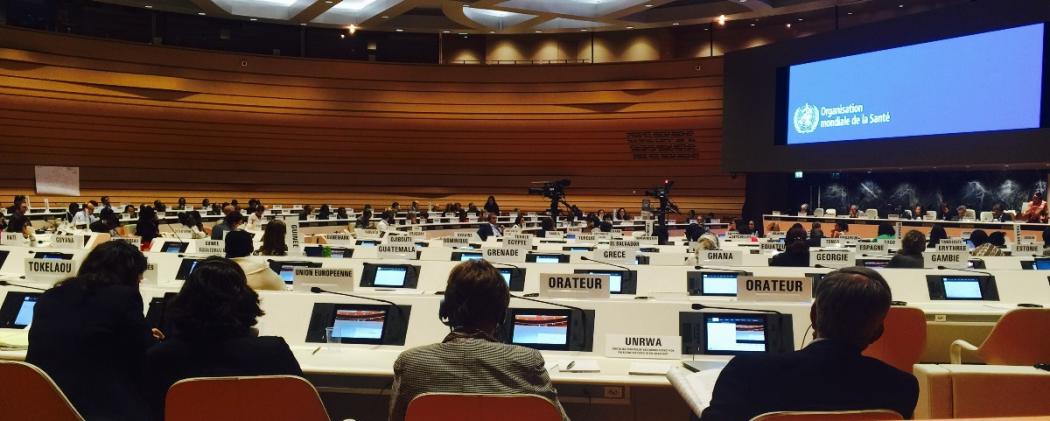 Member states debate adoption of the Workforce 2030 strategy at the World Health Assembly in May 2016. Photo by Vince Blaser, Frontline Health Workers Coalition.