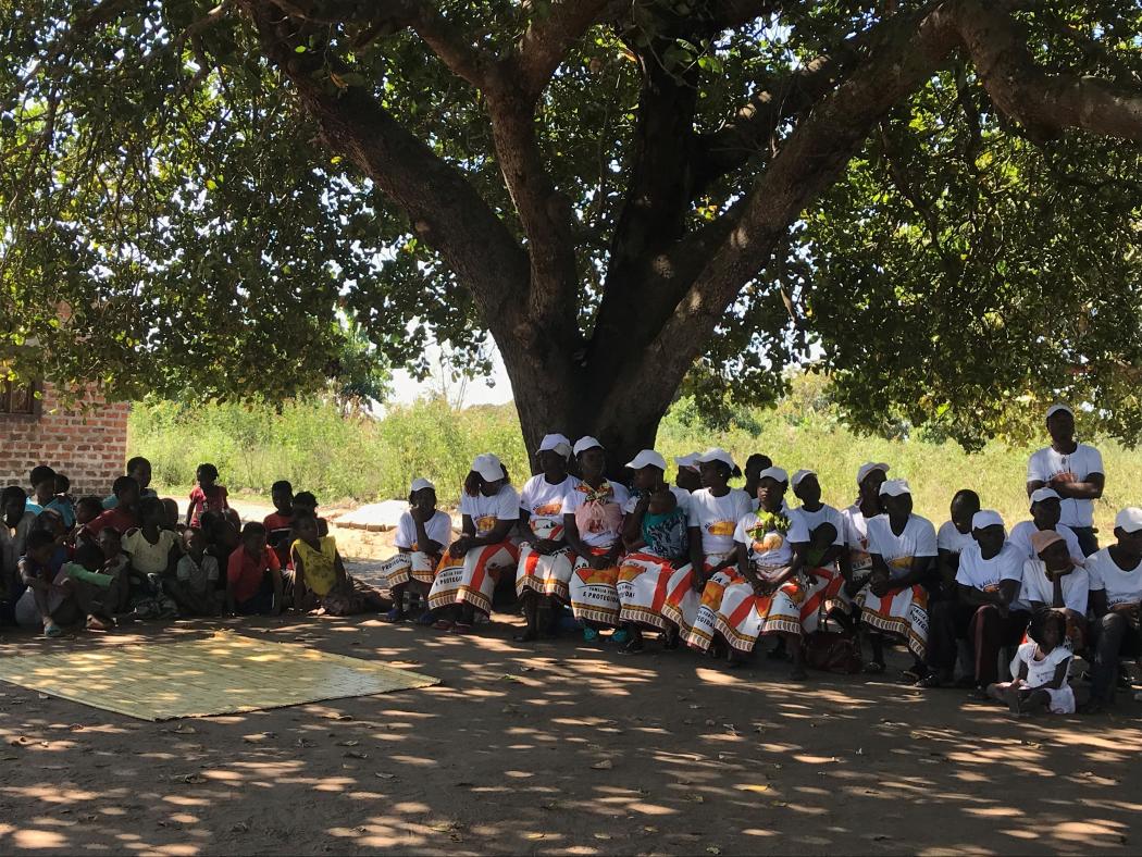 Volunteer community health workers gather for a meeting under a tree in Mocuba, Mozambique 
