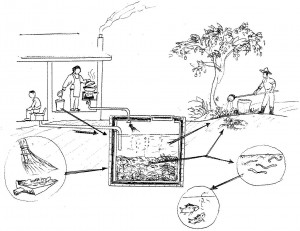 Hesperian 3